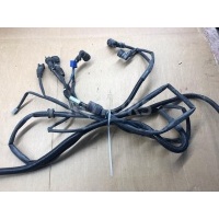 проводка DAF 95 2006 1640944
