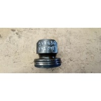 Поршень Volvo FH 2008 21161901