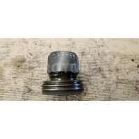 Поршень Renault Magnum 2009 20847904