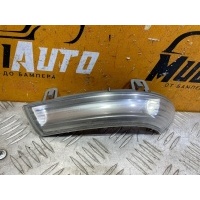 Повторитель поворота в зеркало Volkswagen Passat b6 2005-2011 1k0949101