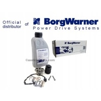 Новая ! насос фильтр масляный haldex 4 0ay598549a vag volkswagen dystrybucja borgwarner
