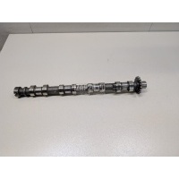 Распредвал впускной Land Rover Range Rover Evoque (2011 - 2018) LR021913