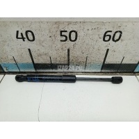 Амортизатор капота BMW 3-serie F30/F31/F80 (2011 - 2020) 51237239233