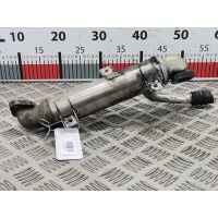 Радиатор системы ЕГР Volkswagen Passat 5 GP (2000-2005) 2004 ,038131513H
