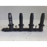 катушка зажигания delphi ce20009 - 12b1a