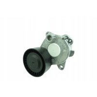 Schaeffler ina 534 0443 10 натяжитель ремня клиновой зубча
