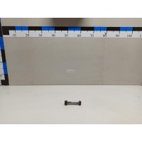 Болт заднего рычага Nissan JX/QX60 (L50) 2013 55080JA03A