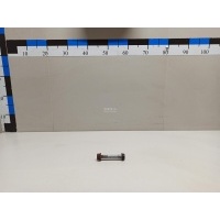 Болт заднего рычага Nissan Pathfinder (R51) (2005 - 2014) 55080JA03A