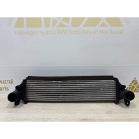 Радиатор интеркулера Exeed TXL M32T 2020-2023 302000507AA