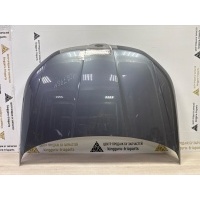 Капот Skoda Kodiaq 1 NS7 до Рестайлинг 2016-2022 565823031A