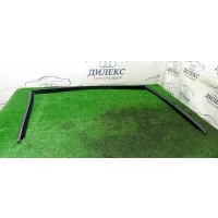 уплотнитель стекла двери BMW X5 E70 2007-2013 51337305628