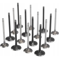 Регуляторы впускные wylotowe ecotec 2 , 0 л , 2 , 2 л 2 , 4 л 2000 - 2010 16szt