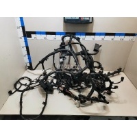 Проводка (коса) Nissan Pathfinder (R52) 2014 240129PB0C