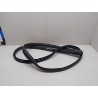 Уплотнитель двери Renault Sandero 2014 769237471R