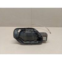 Ниша лючка бензобака VAG Passat [B8] 2015 3G5809857G