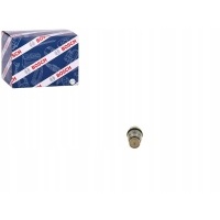 Bosch 1 110 010 019 редуктор давления , система common рейка
