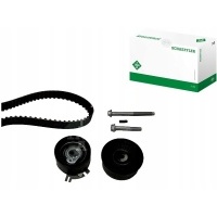 Schaeffler ina 530 0198 10 комплект панели грм