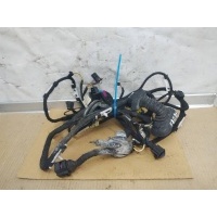 Проводка двери передней левой Audi A6 C6/4F 2005 4F1971029C,4F1971035C,4F0971765