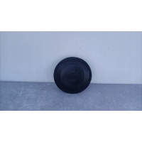 Заглушка крышки лампы skoda октавия форд citroen opel 155665 pak20 / 005