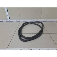 Уплотнитель проема двери передней левой Chevrolet Chevrolet Cruze (J300) 2009-2016 95021340