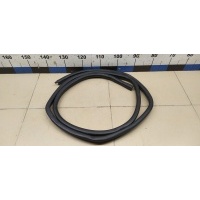 Уплотнитель двери NISSAN Qashqai (J11) 2014> 769244EA0A