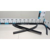 Уплотнитель стекла двери BMW X5 G05 2018 51357428689