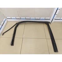 Уплотнитель стекла двери VAZ LADA X-RAY 2016> 823314276R