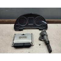 Блок управления 038906019fp 0281010729 комплект иммобилайзер audi a4 b6 1.9 tdi 00 - 06