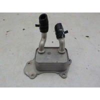 Радиатор масляный (ДВС, КПП, ГУР) Chery Tiggo 7 Pro Max 2022- F4J161013010DA