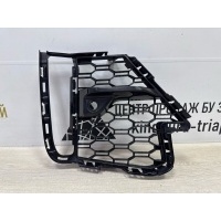 Решетка бампера BMW X7 G07 M-Pack 2019-2022 51118069890