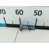 Болт BMW X6 G06 2019 31206799717