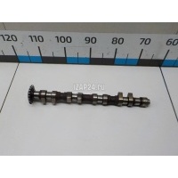 Распредвал выпускной VAG A4 [B5] (1994 - 2001) 058109022C