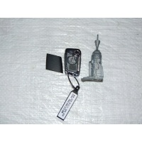 Volkswagen passat b8 ключ вкладыш 3g0959752cc