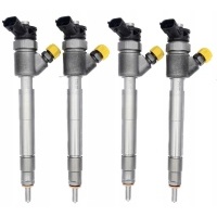 Макс. форсунки bosch 0445110955 9828959880 citroen