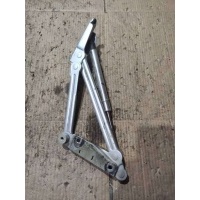 Петля крышки багажника Volkswagen Phaeton 2005 3D5827301