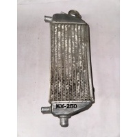 Радиатор 250