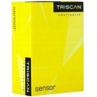 Triscan 8500 81801 подвеска , рычаг