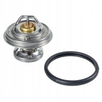 febi bilstein 09672 термостат , жидкость жидкость