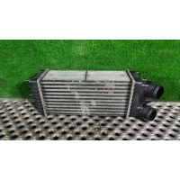 Интеркулер Citroen Berlingo 1 restailing 2006 874964G, 9645965180