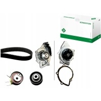 Schaeffler ina 530 0449 30 насос насос комплект панели грм