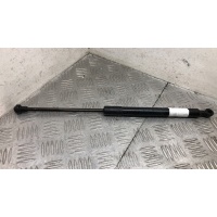 Амортизатор капота BMW 3 серия E90/E91/E92/E93 2008 7129190,51237129190