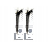 Форсунки 2шт a642070118780 мерседес bosch