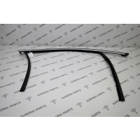 Направляющая стекла передней двери с молдингом RH BMW X4 G02 2018 51337416496