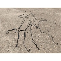 Тормозные трубки ABS Volkswagen Touareg 7L 2005 7L0614741F, 7L0614742G, 7L0614727E