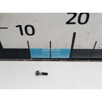 Болт клапанной крышки Ford Focus II (2005 - 2008) 1719136