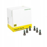 Schaeffler пробелы 411 0282 10 комплект болт , колесо маховик