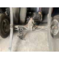 Форд f - 150 2021 - заднего мост для 8.8 3.55 axle 19