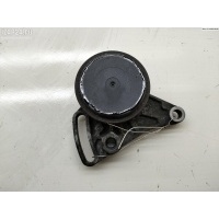 Механизм натяжения ремня, цепи Volkswagen Passat B5+ (GP) 2003 058260511