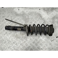 Стойка подвески передняя правая Volkswagen Passat B6 2007 3C0413031AB