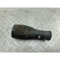 Пневмоподушка подвески задняя BMW 5 E39 (1995-2003) 2000 1094614